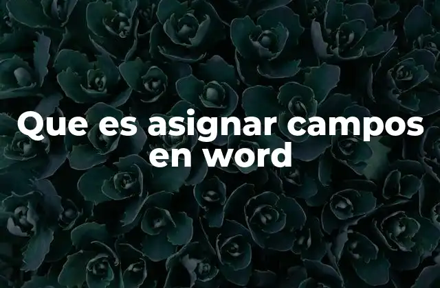 Que es Asignar Campos en Word 2 Cómo mejorar la productividad con campos en Word