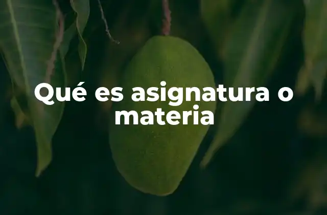 Qué es Asignatura o Materia
