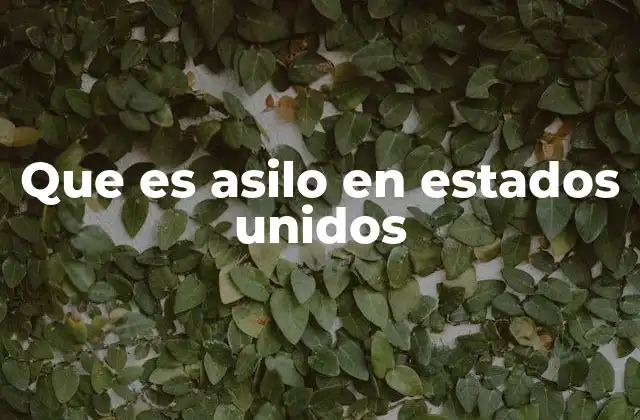 Que es Asilo en Estados Unidos 2 El proceso de protección para solicitantes de asilo en Estados Unidos