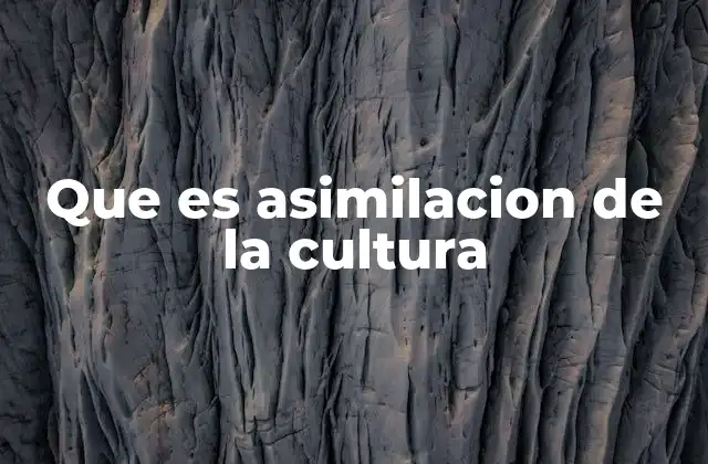 Que es Asimilacion de la Cultura