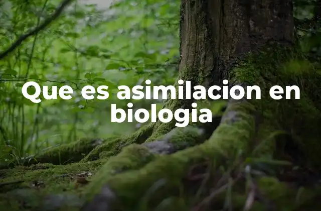 Que es Asimilacion en Biologia