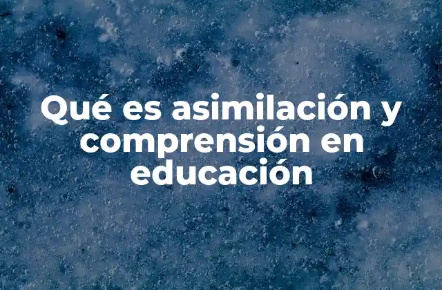 Qué es Asimilación y Comprensión en Educación