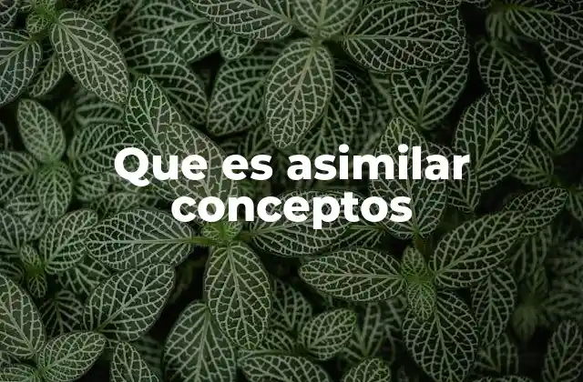 Que es Asimilar Conceptos