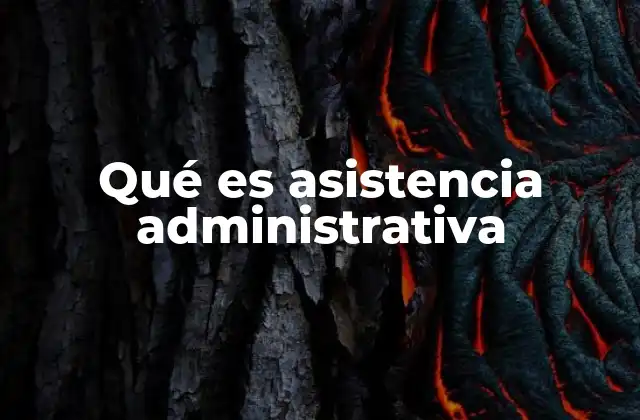 Qué es Asistencia Administrativa