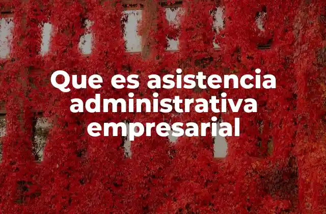 Que es Asistencia Administrativa Empresarial