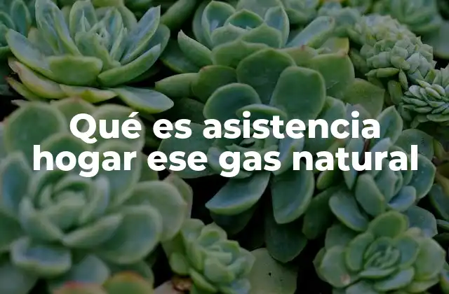 Qué es Asistencia Hogar Ese Gas Natural