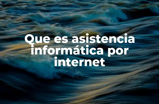 Que es Asistencia Informática por Internet