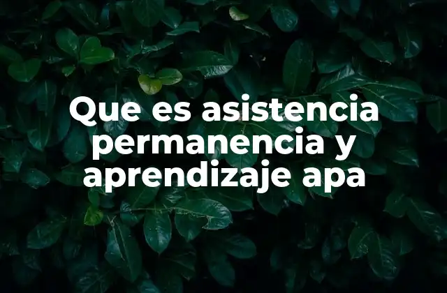Que es Asistencia Permanencia y Aprendizaje Apa