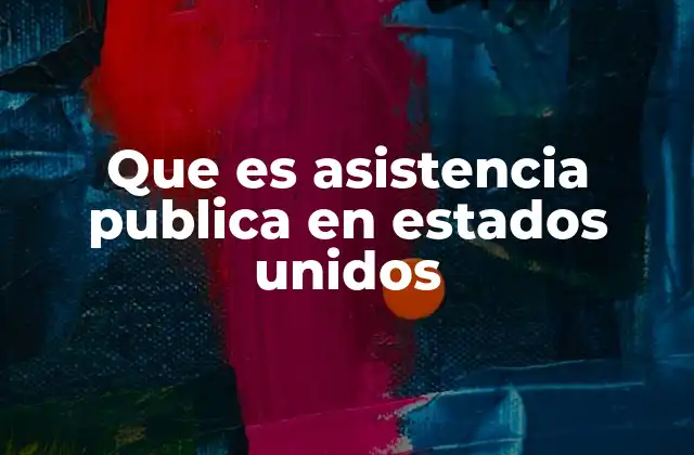 Que es Asistencia Publica en Estados Unidos
