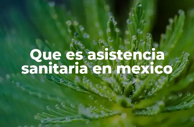 Que es Asistencia Sanitaria en Mexico