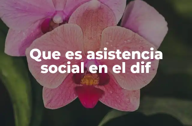 Que es Asistencia Social en el Dif