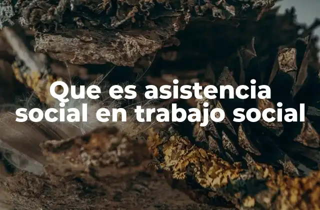 Que es Asistencia Social en Trabajo Social