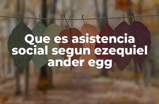 Que es Asistencia Social Segun Ezequiel Ander Egg 2 El papel de la asistencia social en el contexto de las políticas públicas