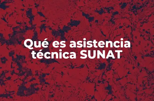 Qué es Asistencia Técnica Sunat