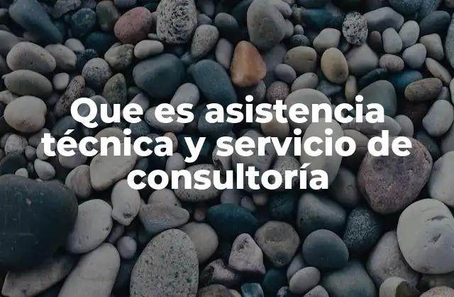 Que es Asistencia Técnica y Servicio de Consultoría