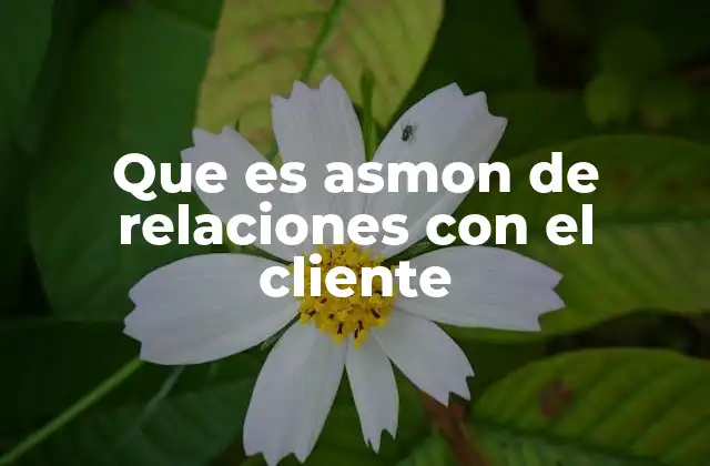 Que es Asmon de Relaciones con el Cliente