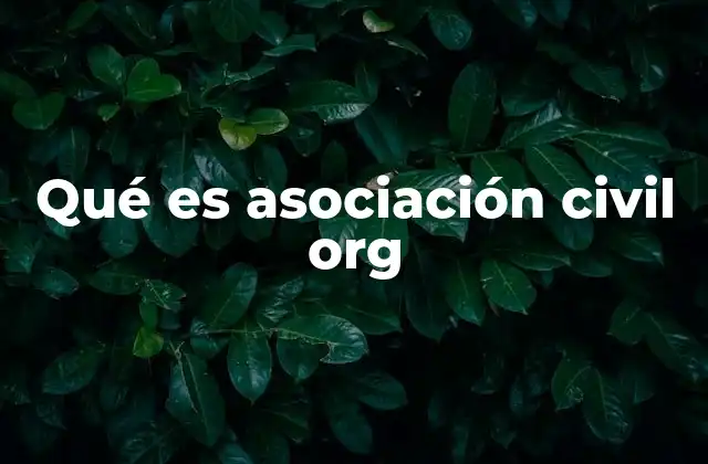 Qué es Asociación Civil Org