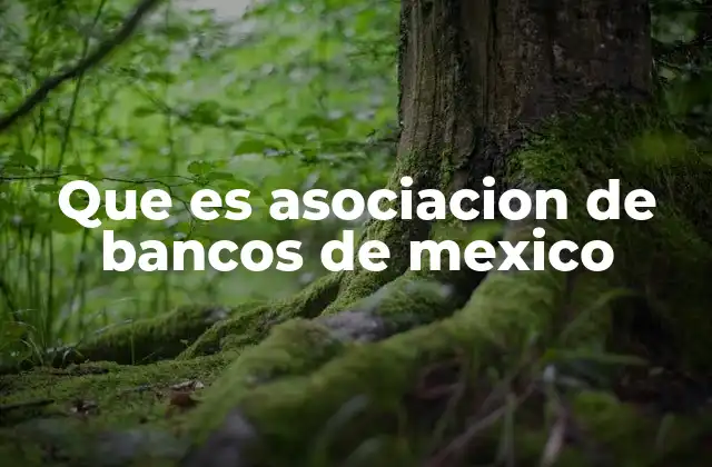 Que es Asociacion de Bancos de Mexico