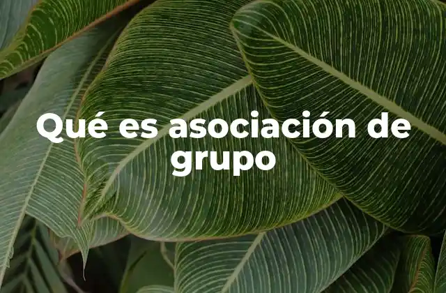 Qué es Asociación de Grupo