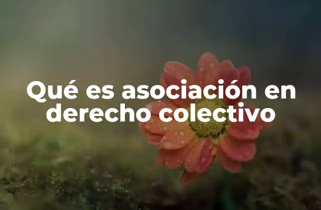 Qué es Asociación en Derecho Colectivo