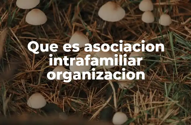 Que es Asociacion Intrafamiliar Organizacion