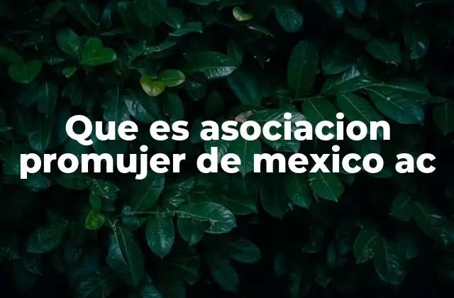 Que es Asociacion Promujer de Mexico Ac