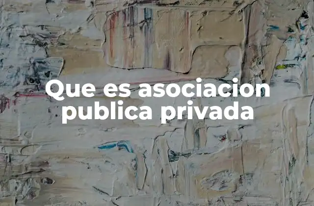 Que es Asociacion Publica Privada