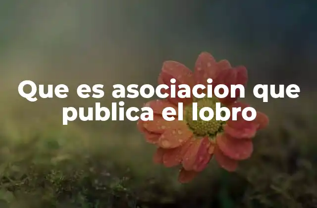 Que es Asociacion que Publica el Lobro
