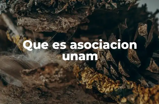 Que es Asociacion Unam