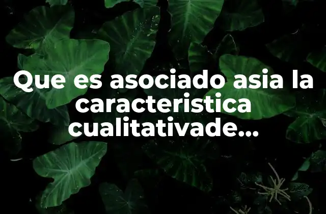 La importancia de las características cualitativas en el análisis de datos