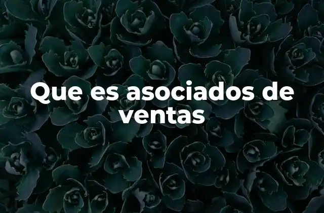 Que es Asociados de Ventas