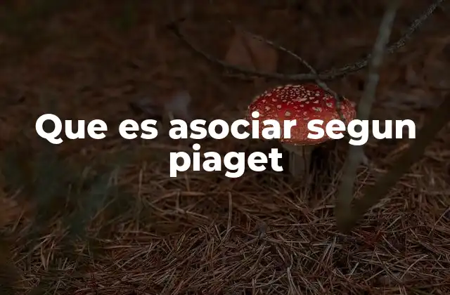 El rol de la asociación en el desarrollo cognitivo