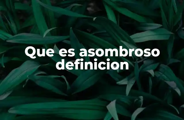 Que es Asombroso Definicion