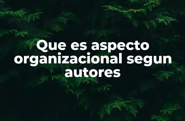 Que es Aspecto Organizacional Segun Autores 2 La importancia del aspecto organizacional en la gestión empresarial