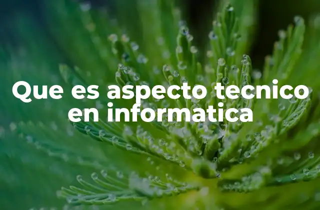 Que es Aspecto Tecnico en Informatica