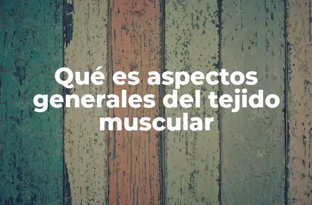 Qué es Aspectos Generales Del Tejido Muscular