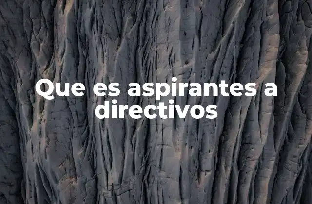 Que es Aspirantes a Directivos