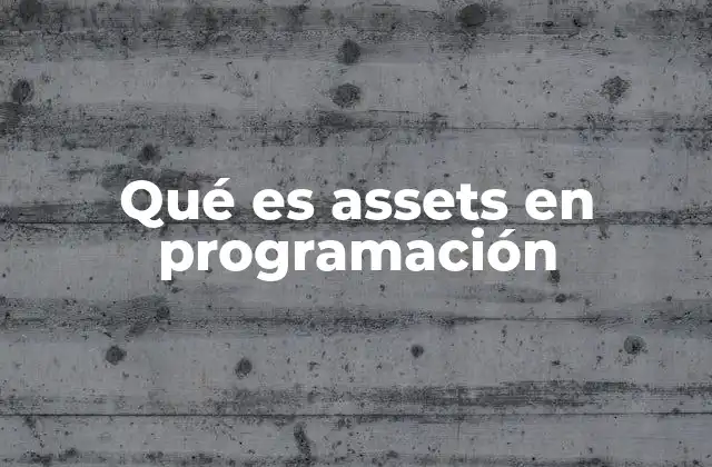 Qué es Assets en Programación