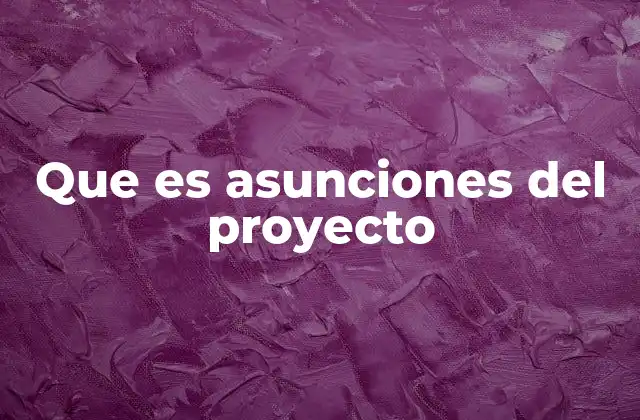 Que es Asunciones Del Proyecto