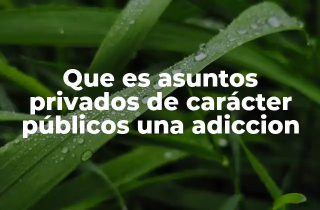 Que es Asuntos Privados de Carácter Públicos una Adiccion