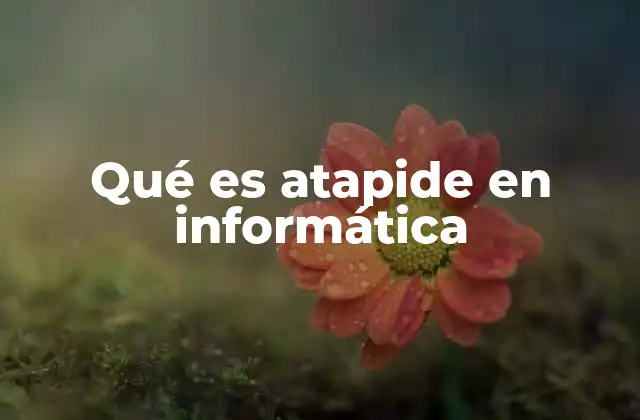 El papel de Atapide en el desarrollo de software