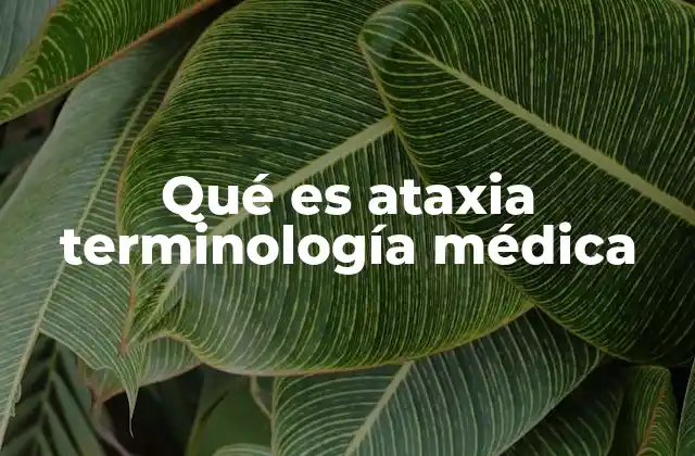 Qué es Ataxia Terminología Médica