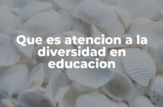 Que es Atencion a la Diversidad en Educacion