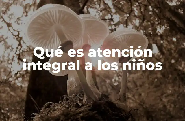 Qué es Atención Integral a los Niños