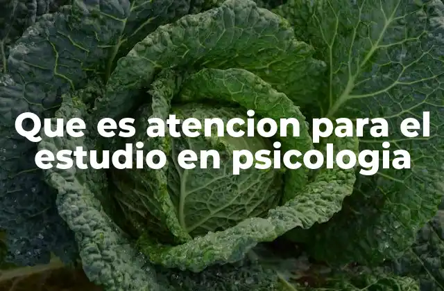 Que es Atencion para el Estudio en Psicologia