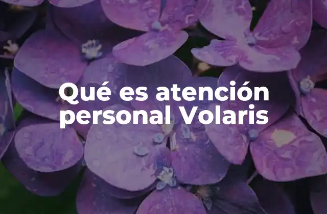 Qué es Atención Personal Volaris