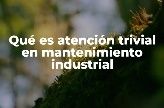 Qué es Atención Trivial en Mantenimiento Industrial