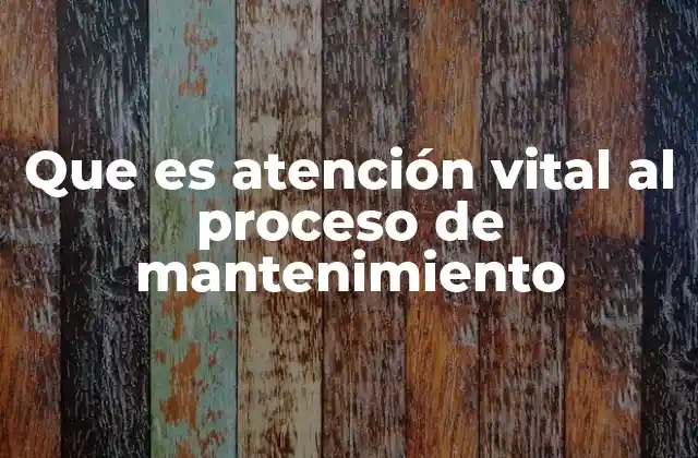 Que es Atención Vital Al Proceso de Mantenimiento