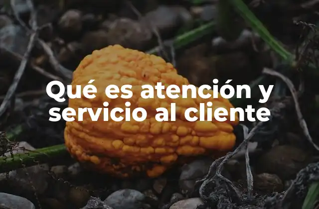 Qué es Atención y Servicio Al Cliente