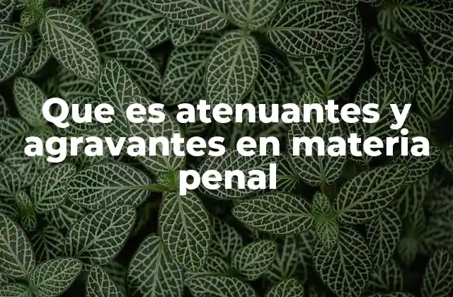 Que es Atenuantes y Agravantes en Materia Penal